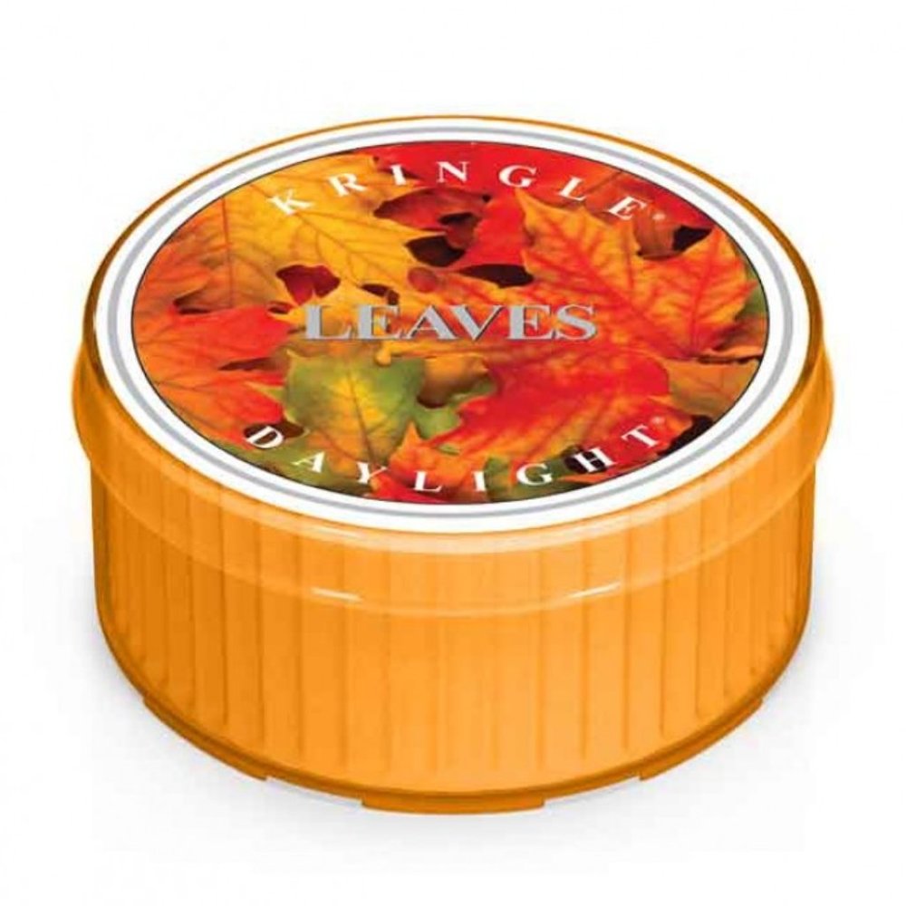 12 PACK Kringle Candle Company Daylight 1.25oz Wax Candle - Leaves